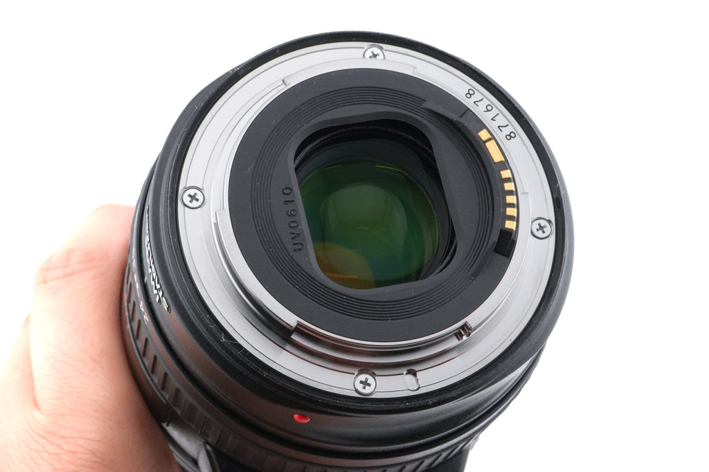 Canon 24-105mm f4 L IS USM