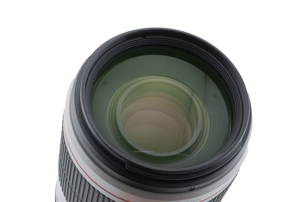 Canon 100-400mm f4.5-5.6 L IS II USM
