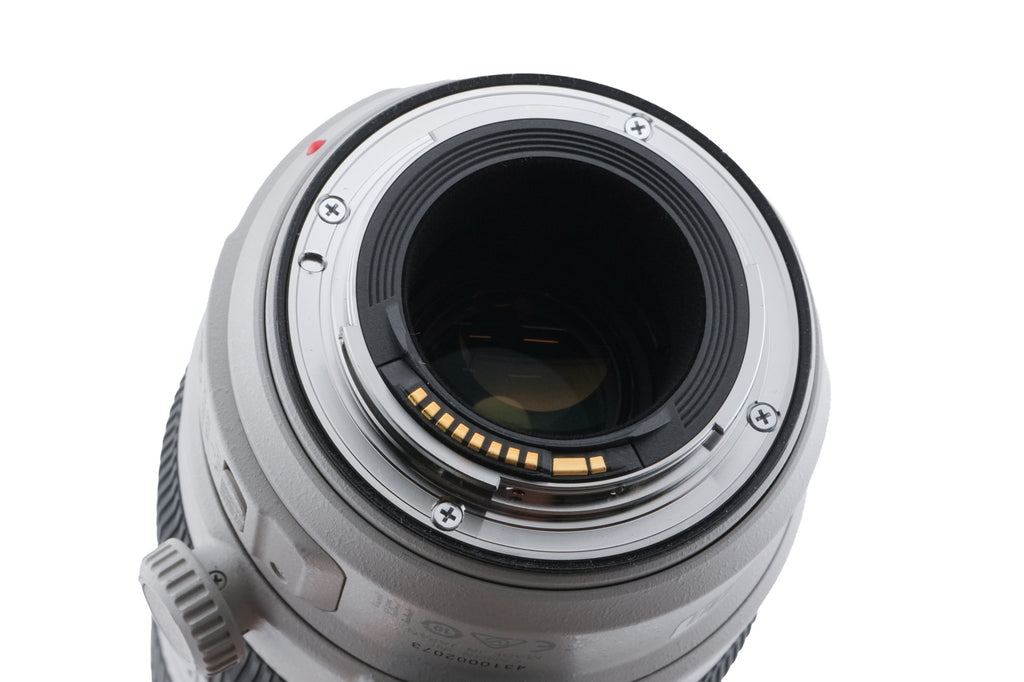 Canon 100-400mm f4.5-5.6 L IS II USM