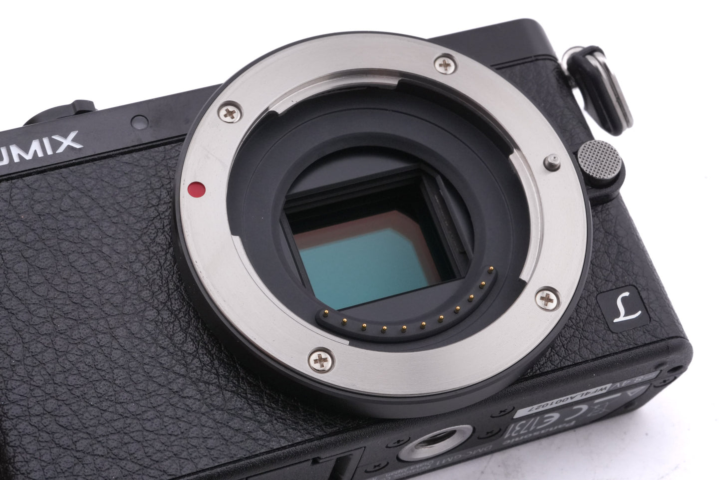 Panasonic Lumix DMC-GM1