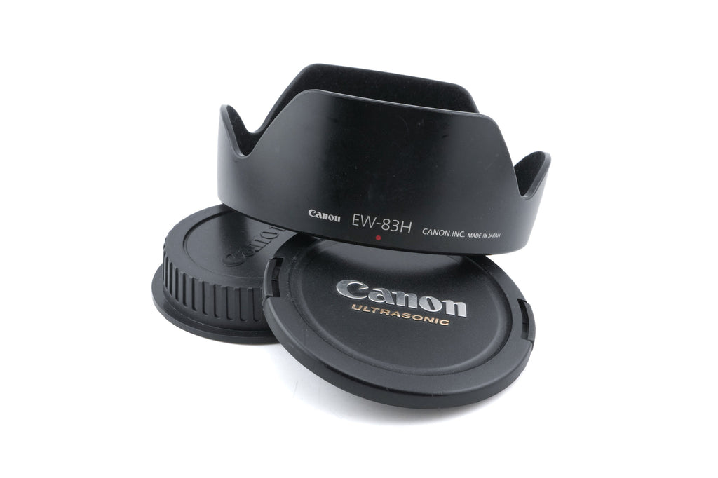 Canon 24-105mm f4 L IS USM