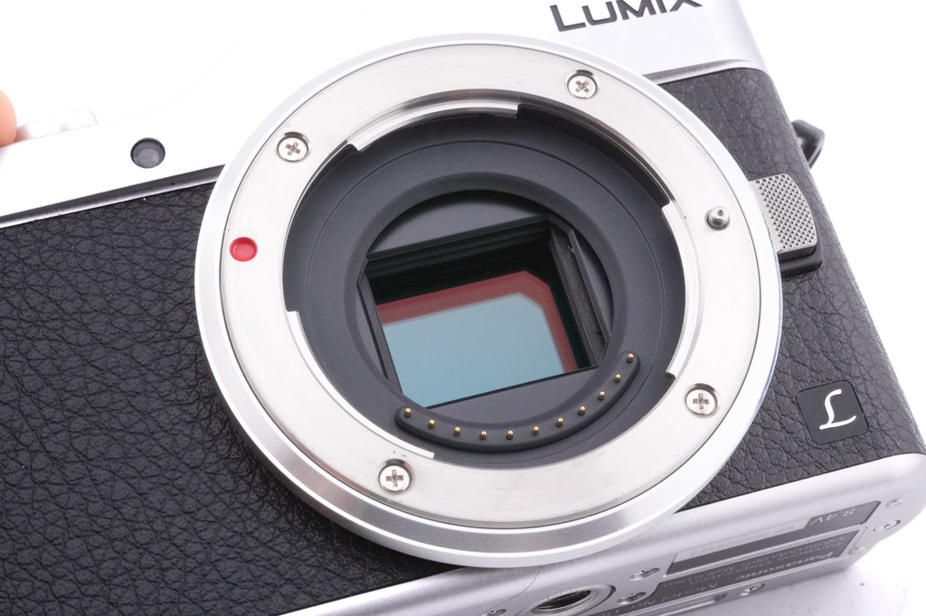 Panasonic Lumix DC-GX800