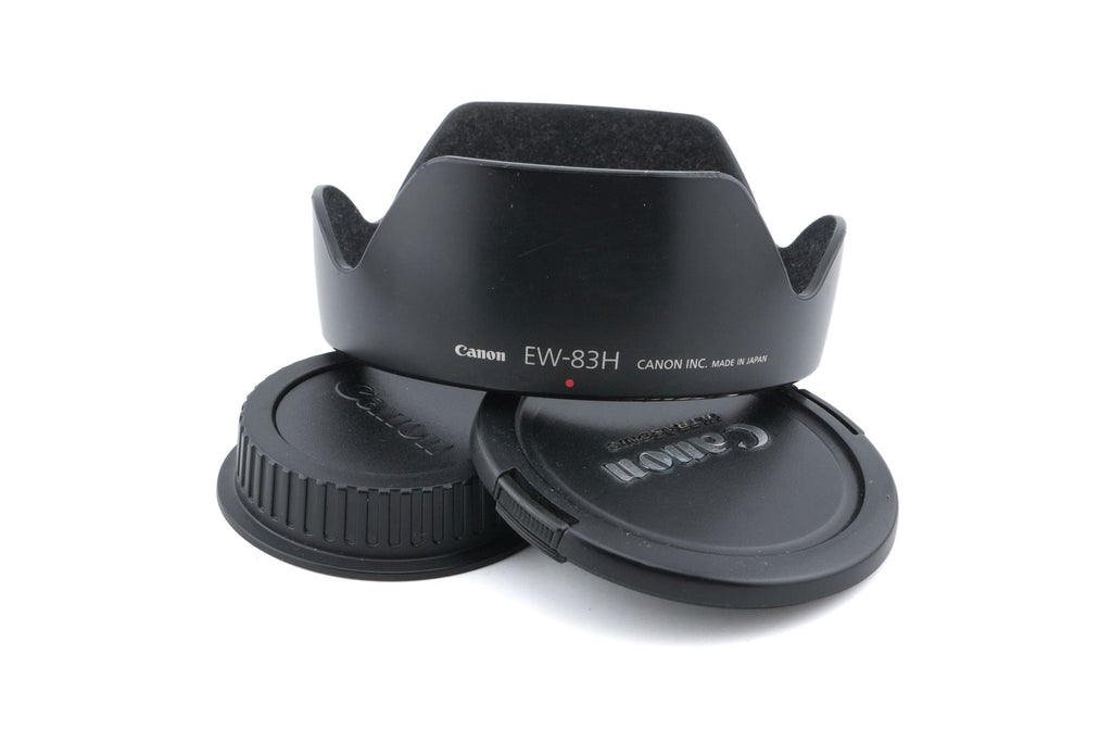 Canon 24-105mm f4 L IS USM