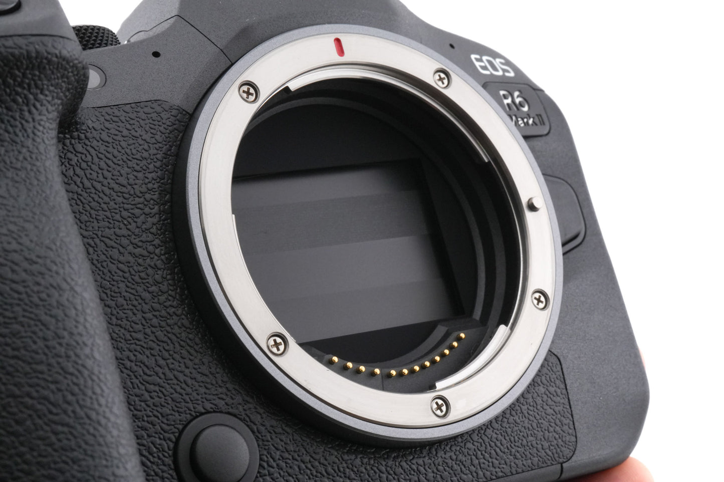 Canon EOS R6 Mark II