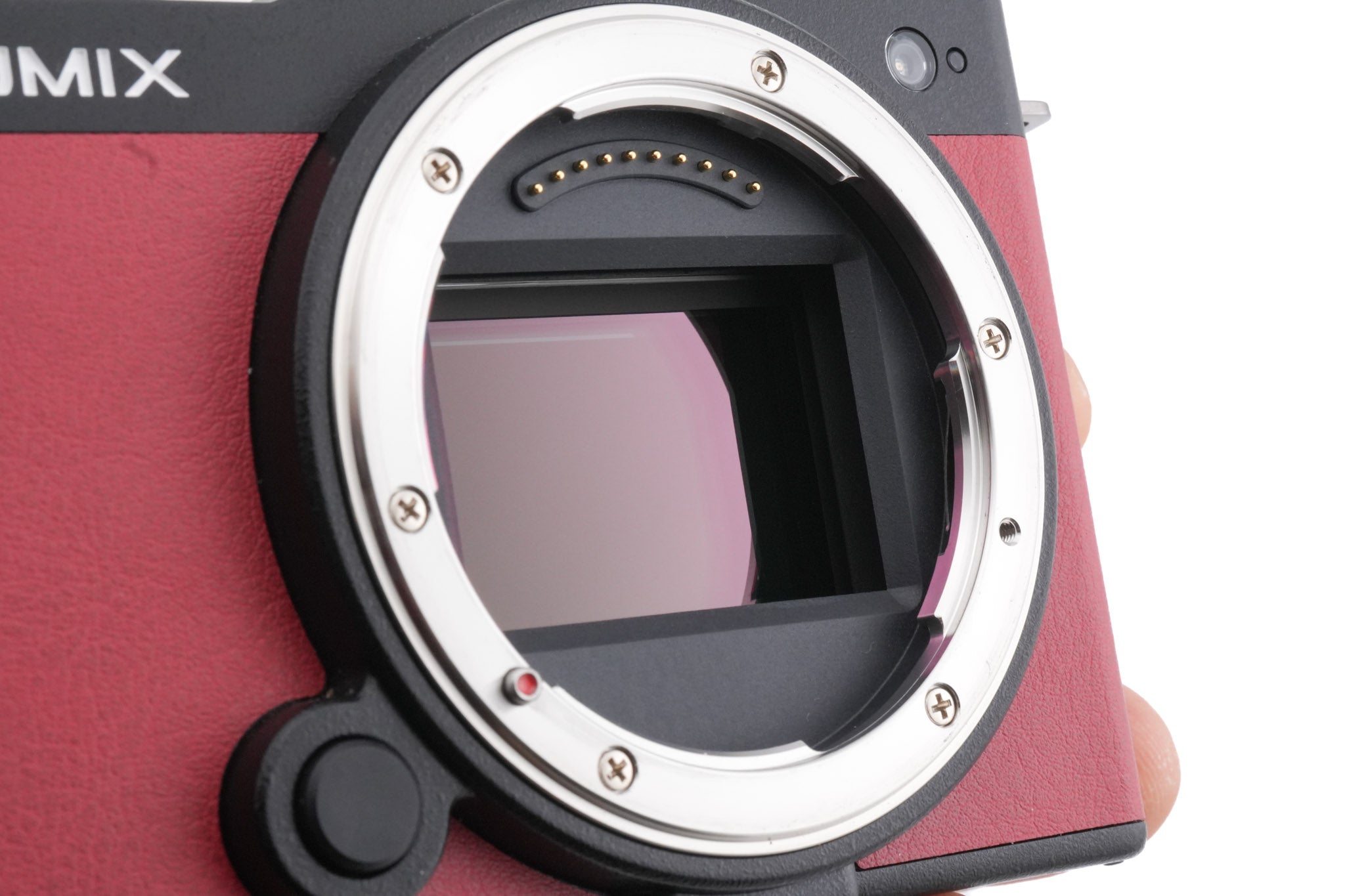 Panasonic Lumix DC-S9
