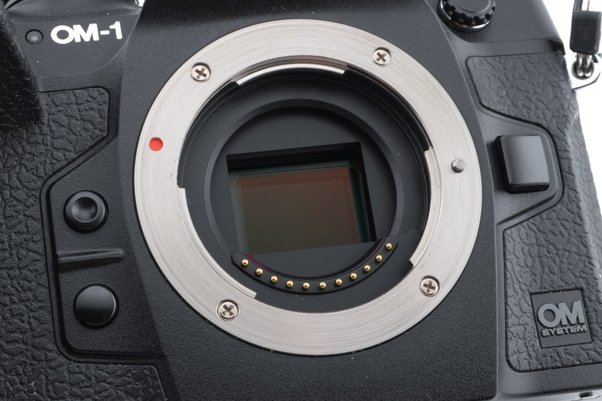 OM System OM-1