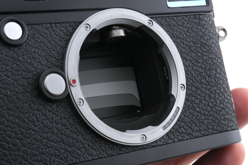 Leica M (Typ 240) (Black Paint, 10770)