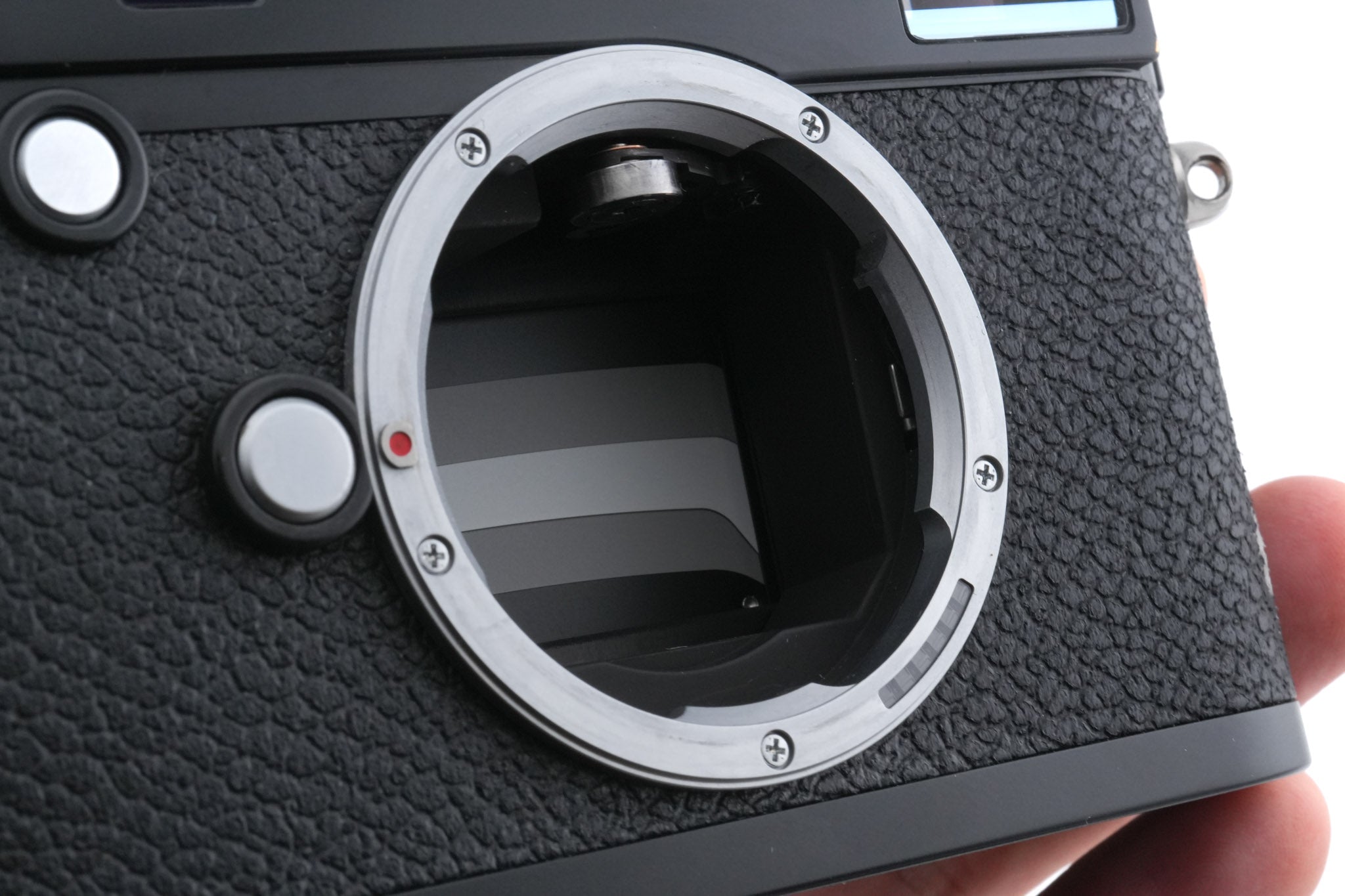 Leica M (Typ 240) (Black Paint, 10770)