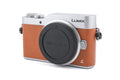 Panasonic Lumix DC-GX800