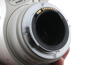 Canon 100-400mm f4.5-5.6 L IS USM