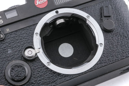 Leica M6 (0.85x) (10413)