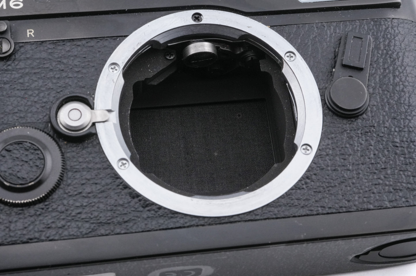 Leica M6 (0.85x) (10413)