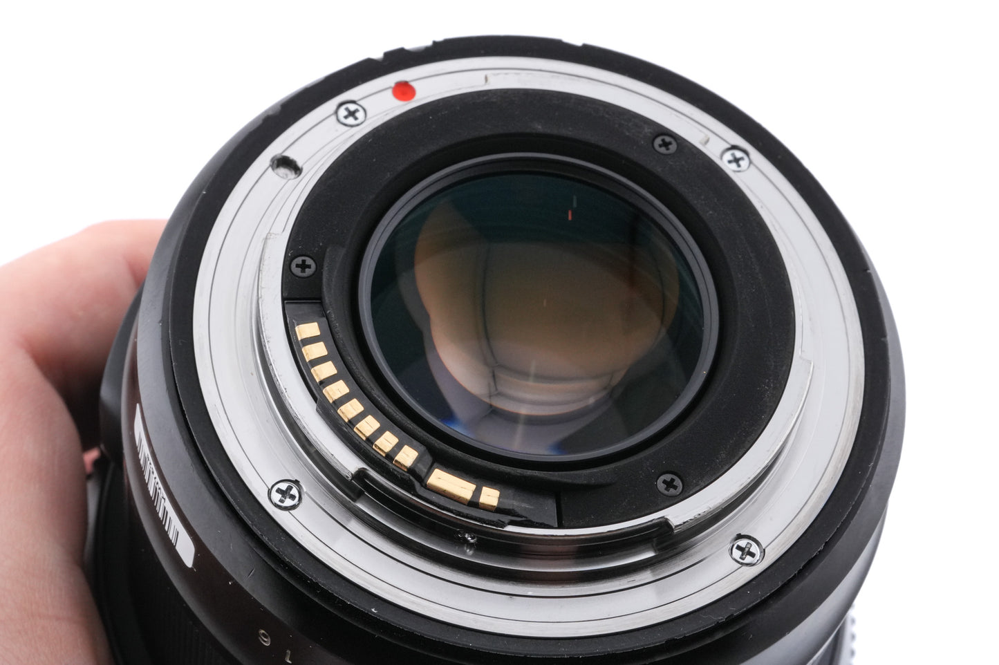 Sigma 85mm f1.4 DG HSM Art (016)