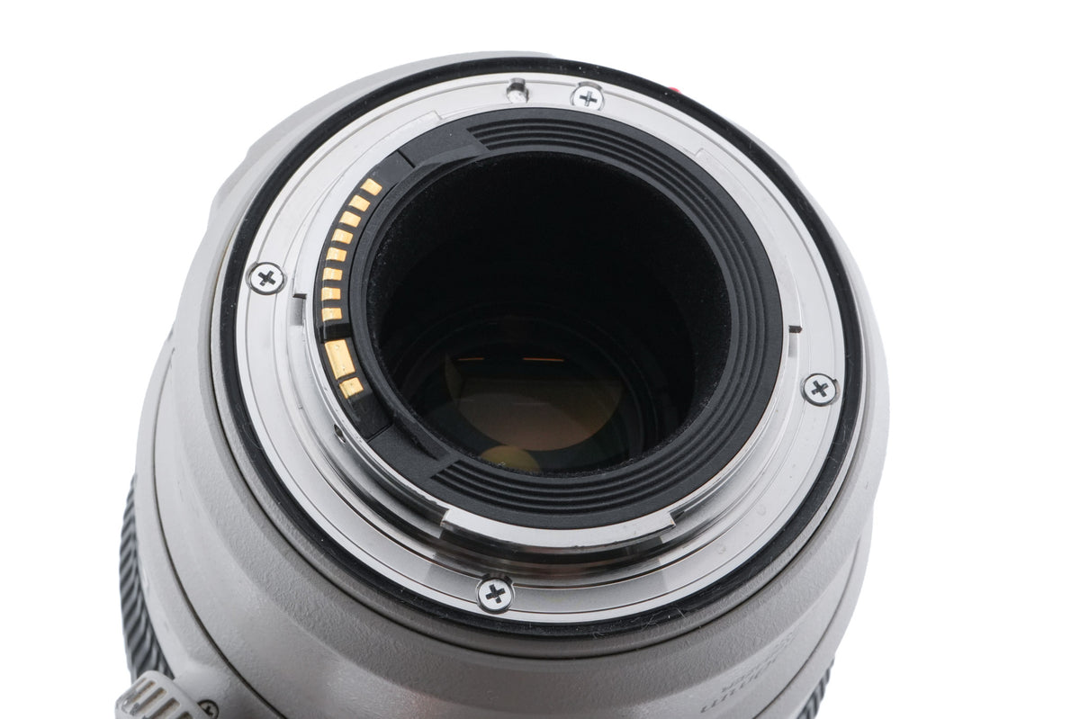 Canon 100-400mm f4.5-5.6 L IS II USM