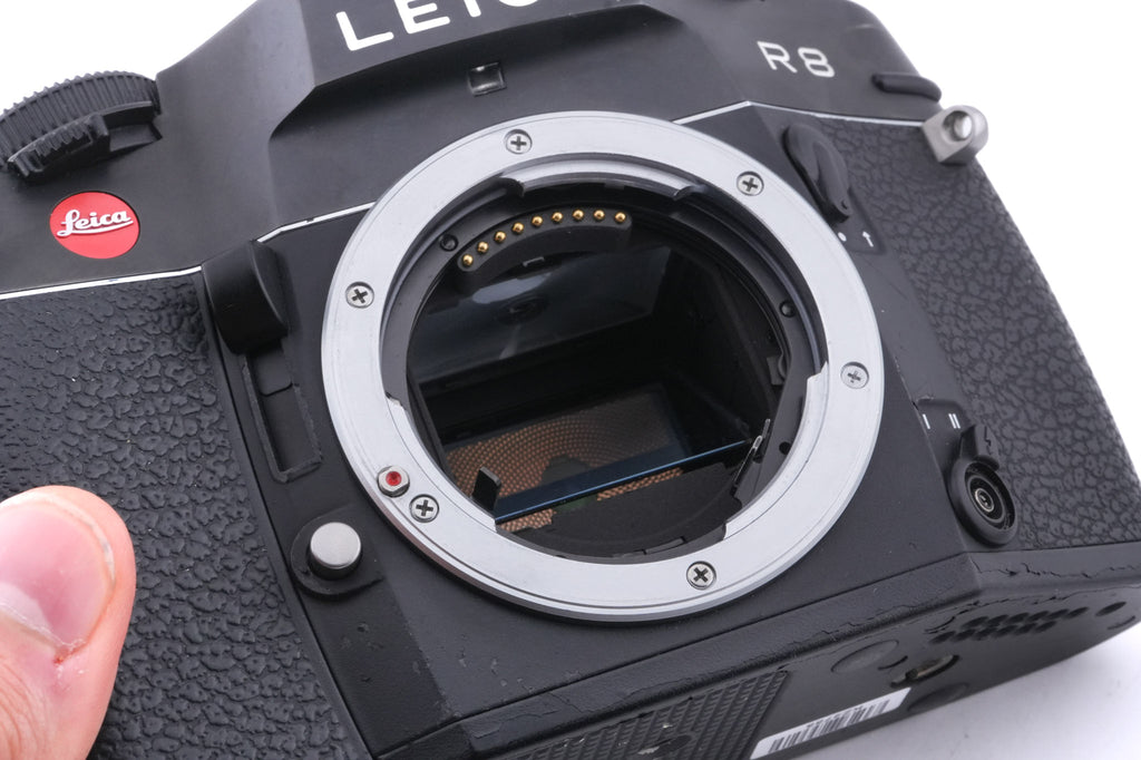 Leica R8 (Black, 10081)
