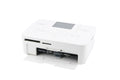 Canon Selphy CP810 Printer - Accessory