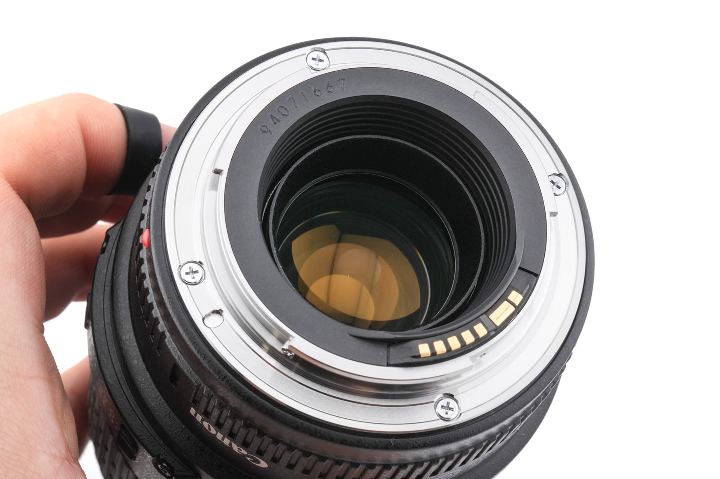 Canon 100mm f2.8 Macro USM