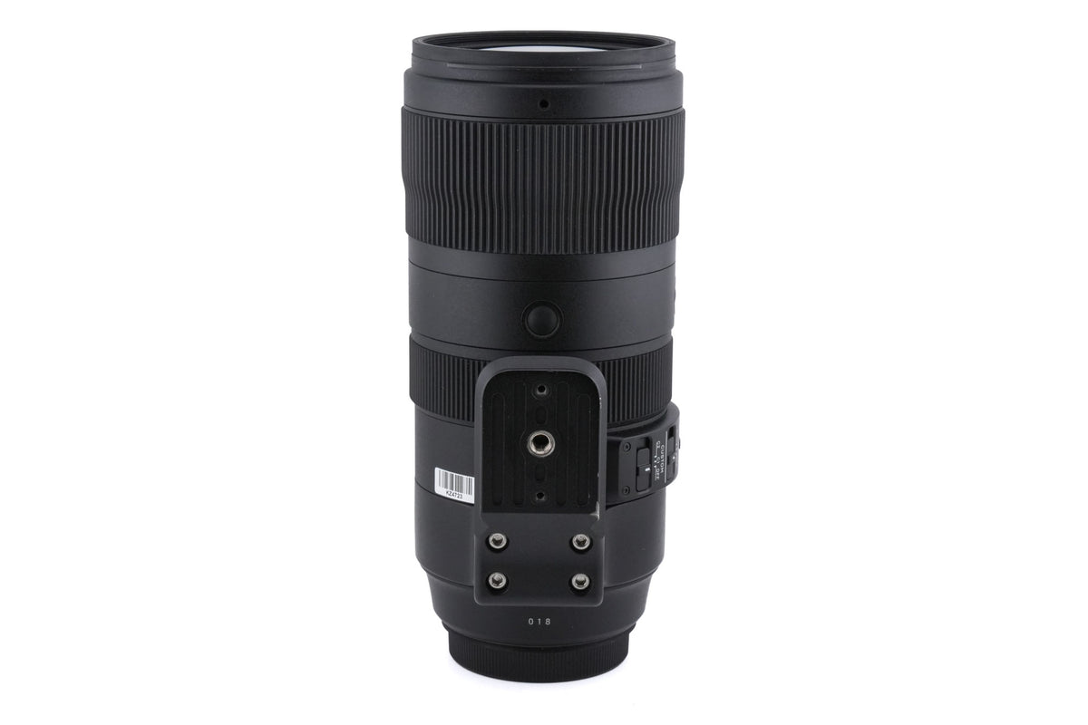 Sigma 70-200mm f2.8 DG OS HSM Sports (018)