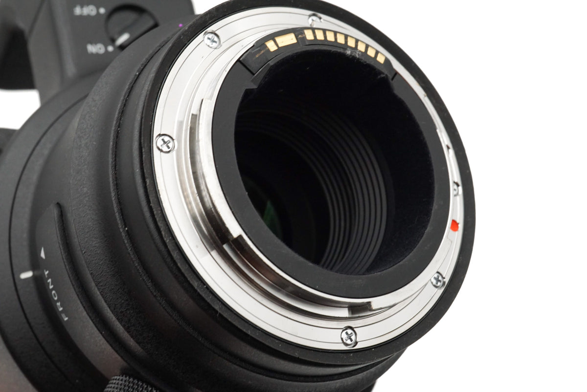 Sigma 500mm f4 DG OS HSM Sport (016)