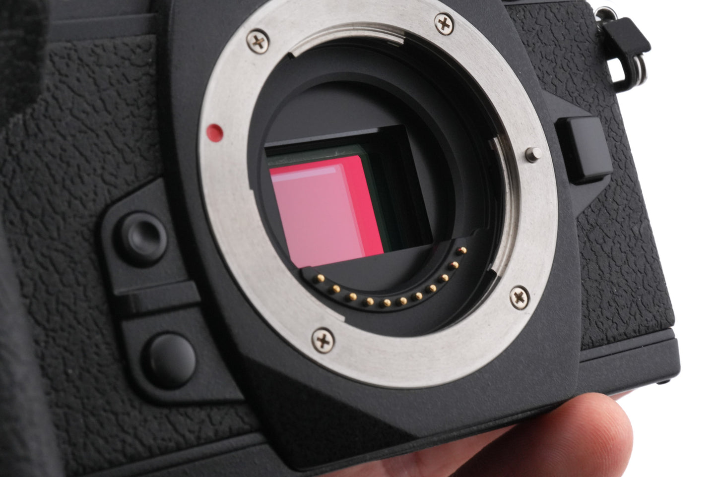 Olympus OM-D E-M1 + FL-LM2 Flash