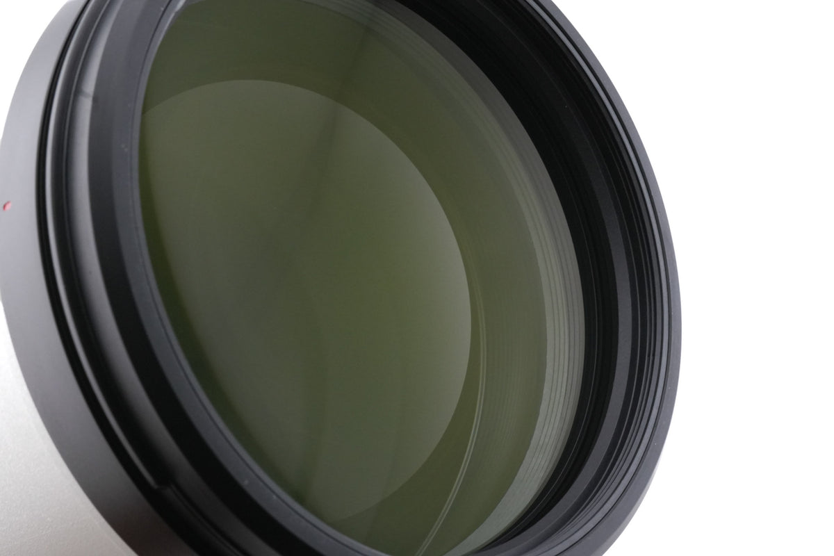 Sony 200-600mm f5.6-6.3 G OSS (SEL200600G)