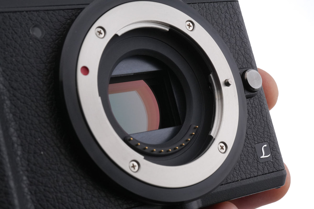 Panasonic Lumix DMC-GX80