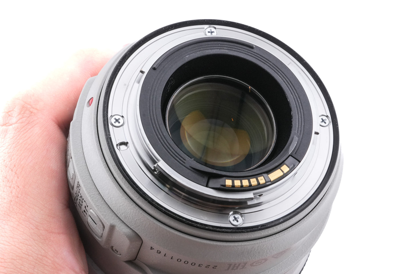 Canon 70-300mm f4-5.6 L IS USM