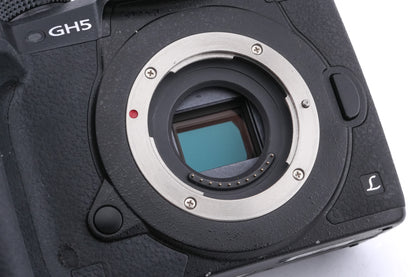 Panasonic Lumix DC-GH5