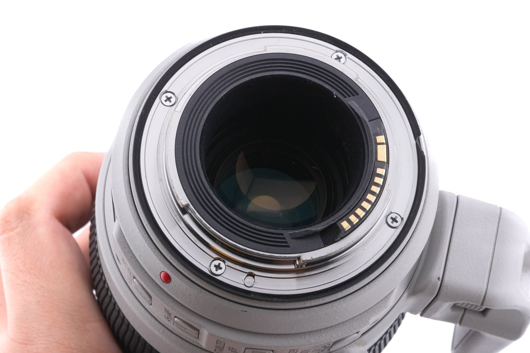Canon 100-400mm f4.5-5.6 L IS II USM