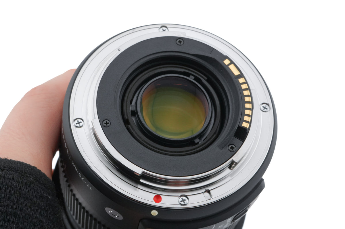 Sigma 17-70mm f2.8-4 DC Macro OS HSM Contemporary (013)
