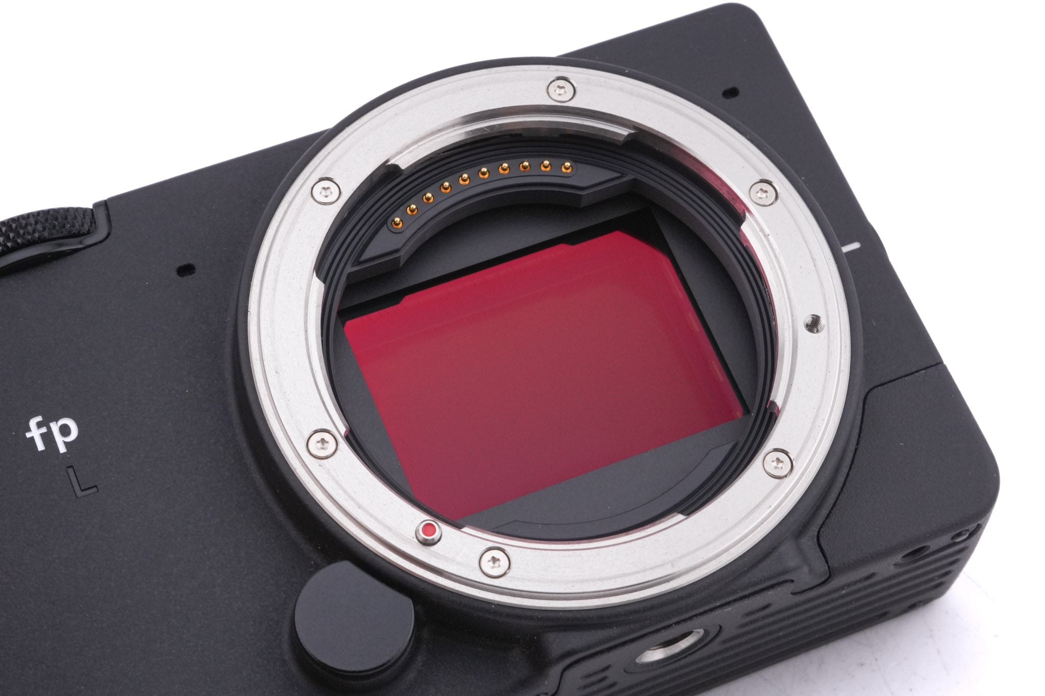 Sigma fp L + HU-11 Hot Shoe Unit + HG-11 Hand Grip