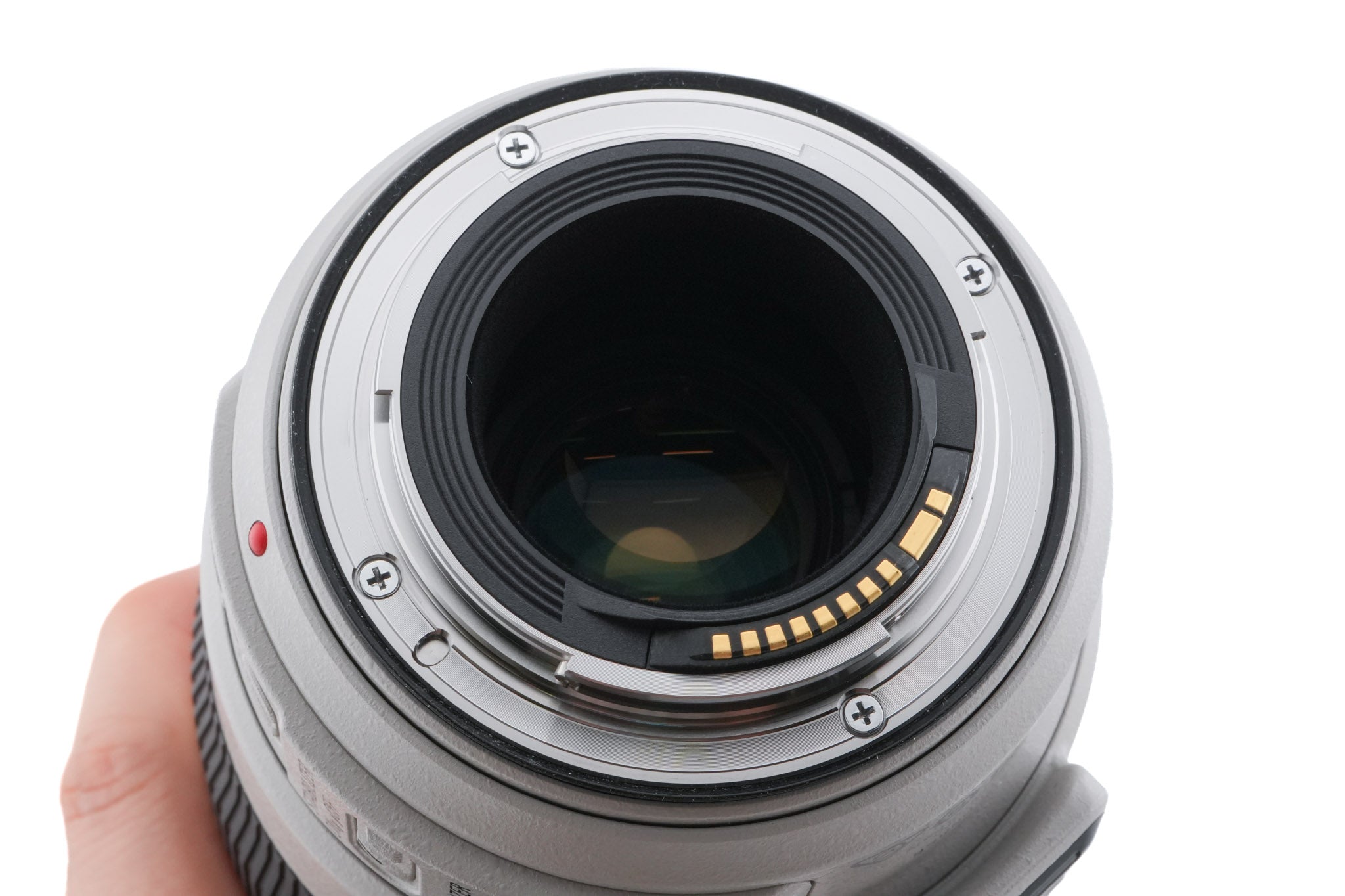 Canon 100-400mm f4.5-5.6 L IS II USM