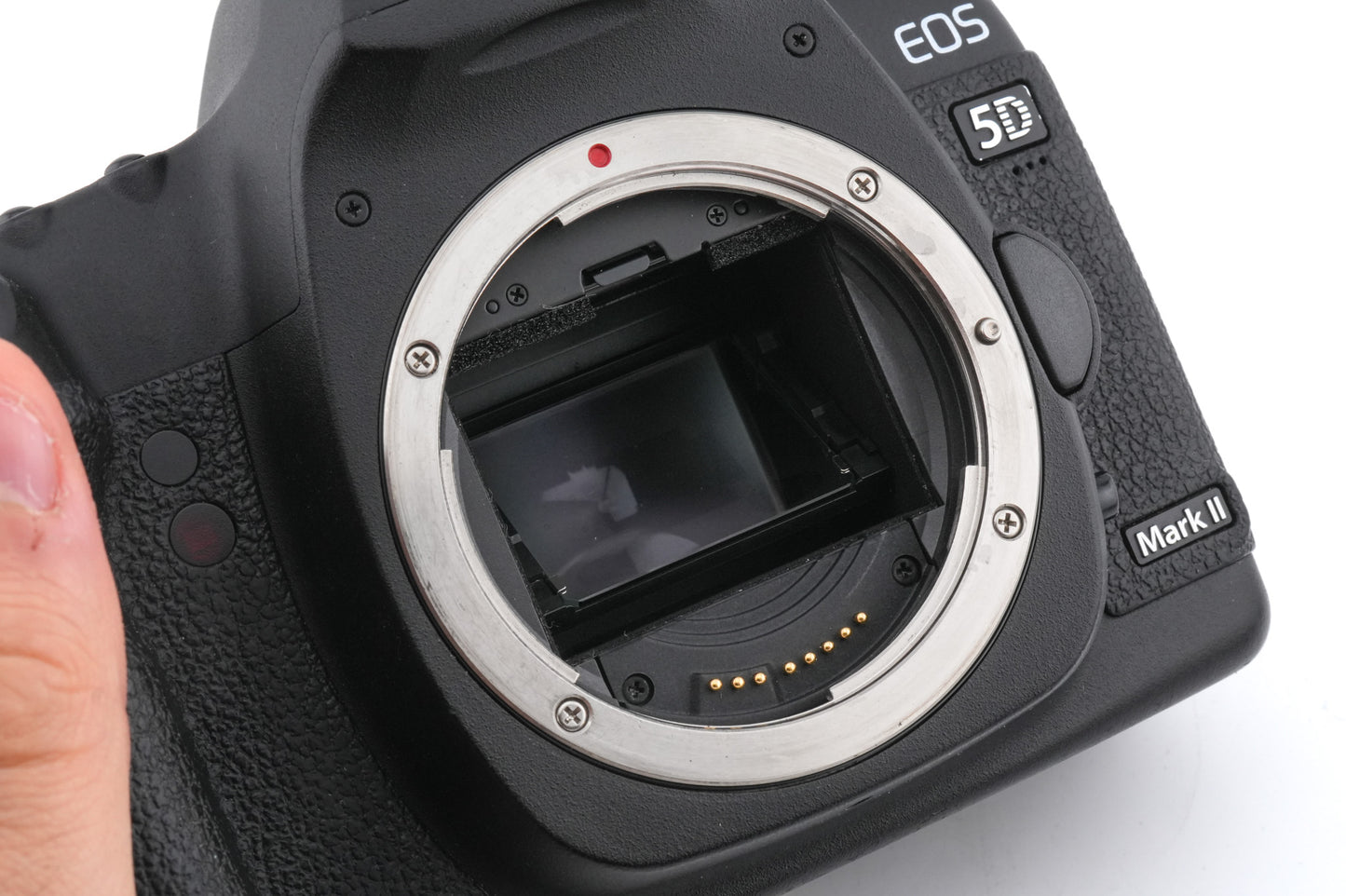 Canon EOS 5D Mark II