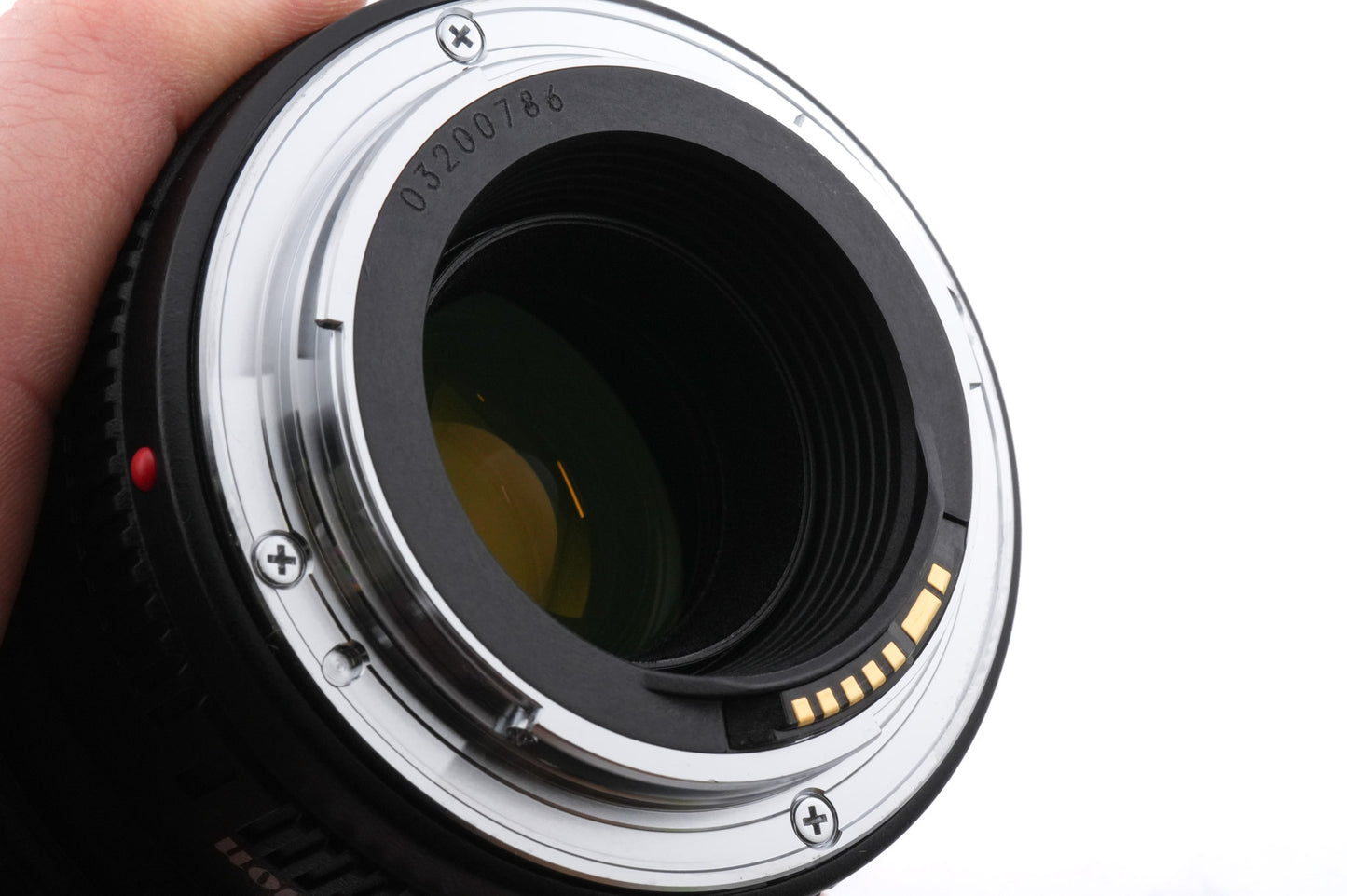 Canon 100mm f2.8 Macro USM