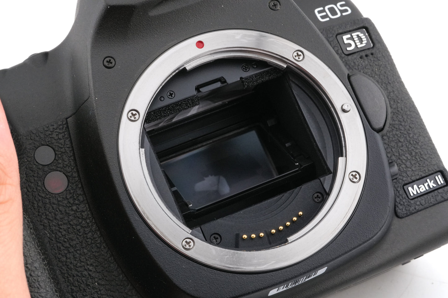 Canon EOS 5D Mark II