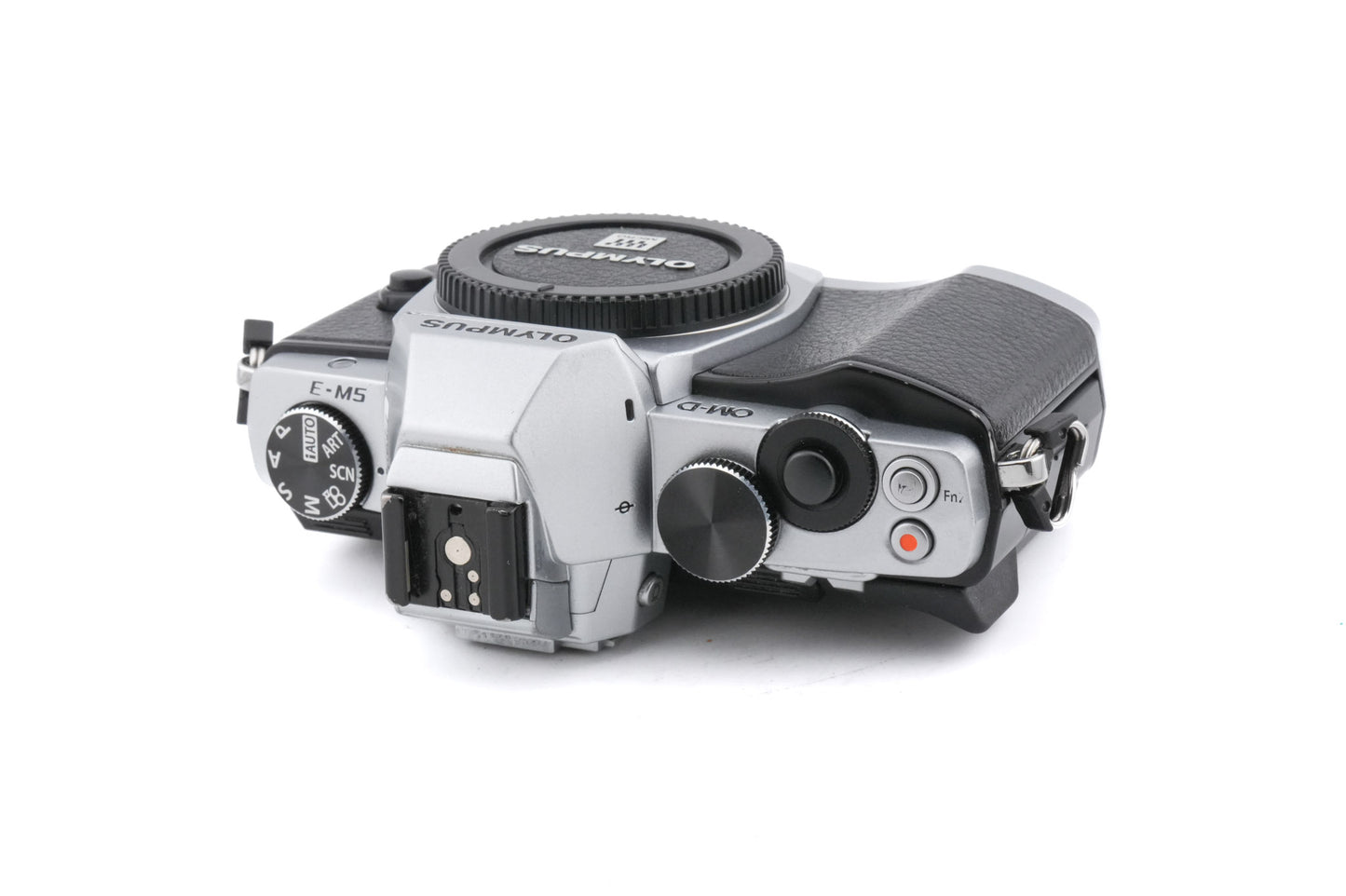 Olympus OM-D E-M5 + FL-LM2 Flash