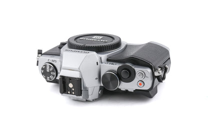 Olympus OM-D E-M5 + FL-LM2 Flash