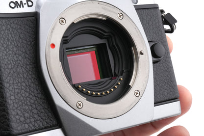 Olympus OM-D E-M5 + FL-LM2 Flash