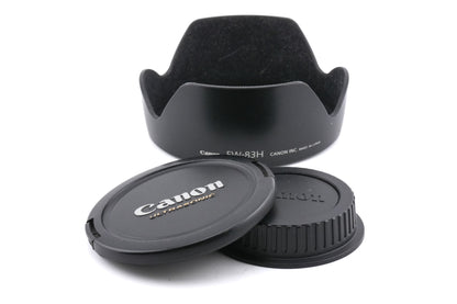 Canon 24-105mm f4 L IS USM