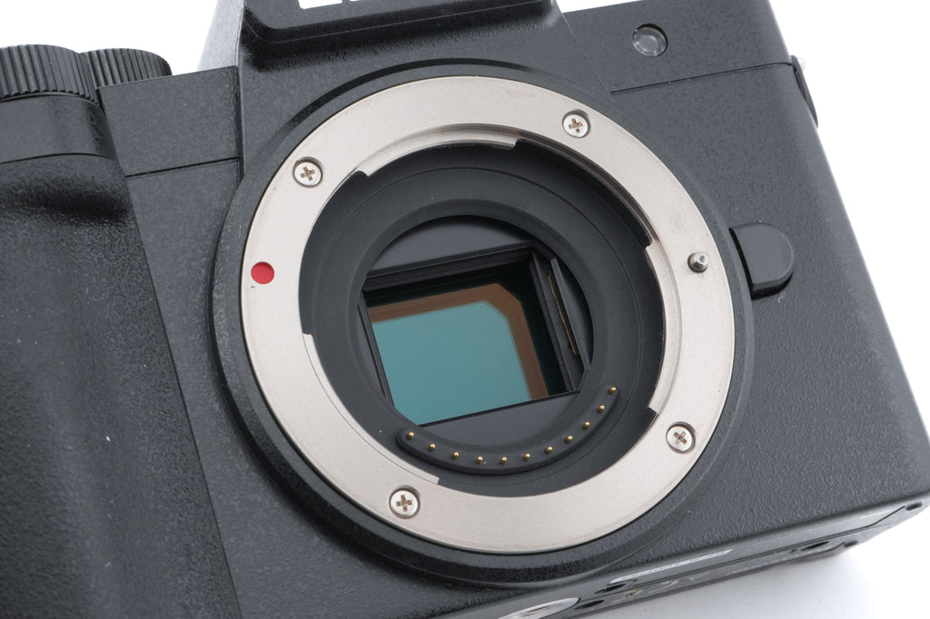 Panasonic Lumix DC-G100