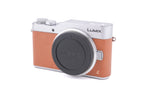 Panasonic Lumix DC-GX800