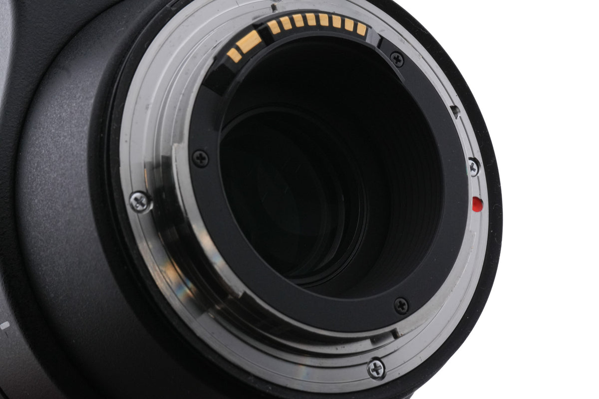 Sigma 150-600mm f5-6.3 DG OS HSM Contemporary (015)