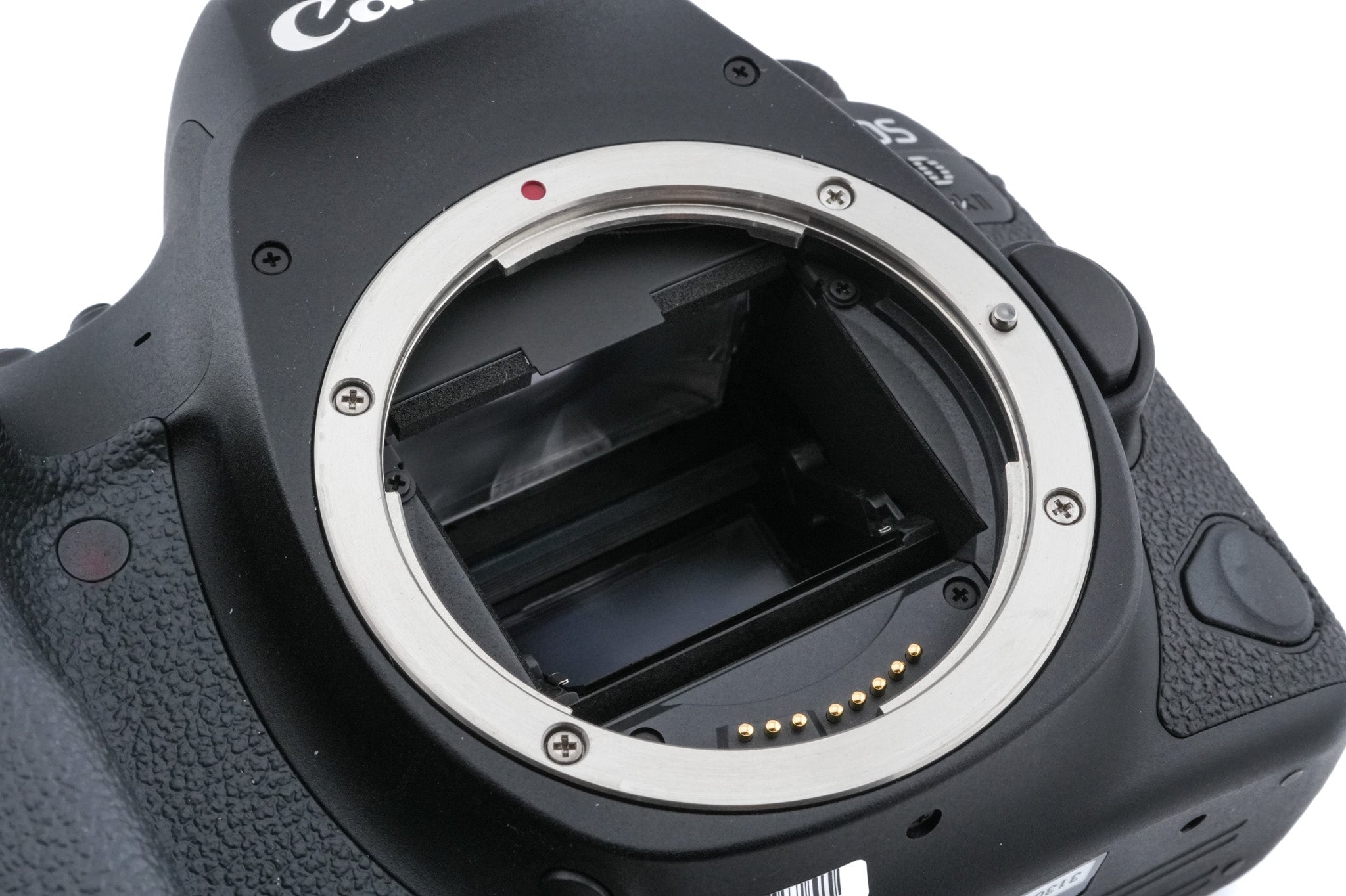 Canon EOS 6D Mark II