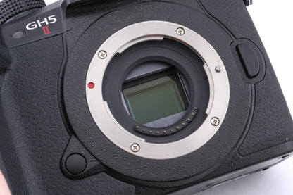 Panasonic Lumix DC-GH5 Mark II