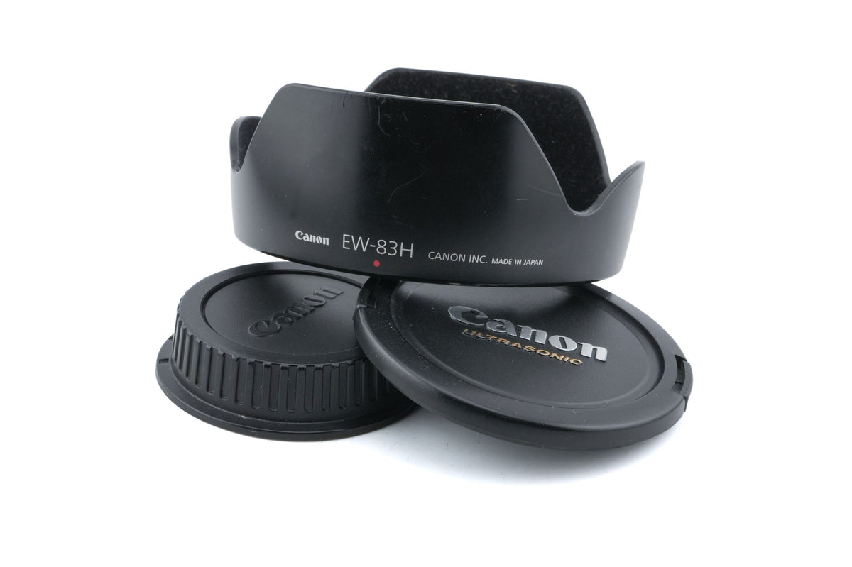 Canon 24-105mm f4 L IS USM