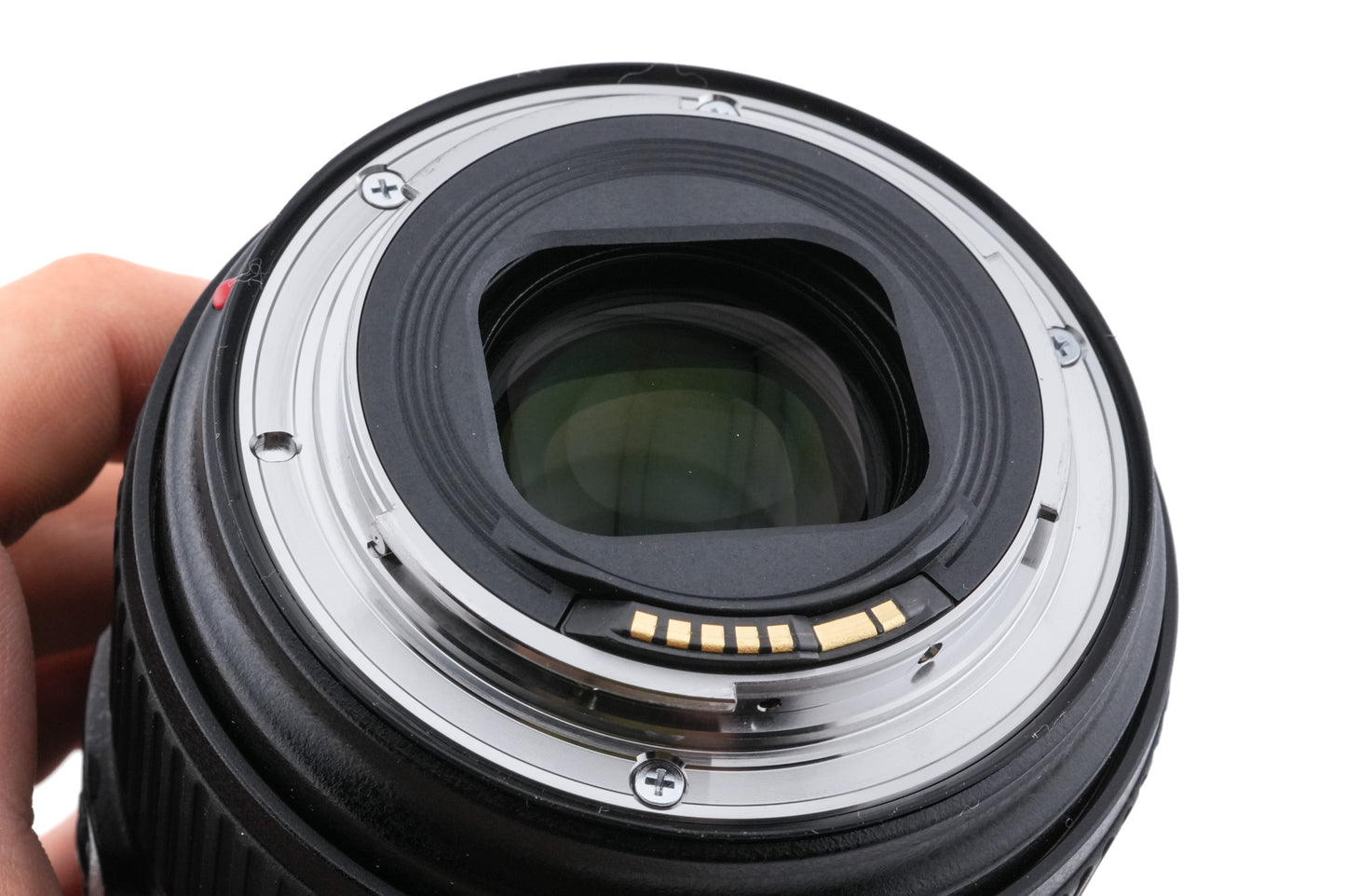Canon 24-105mm f4 L IS II USM