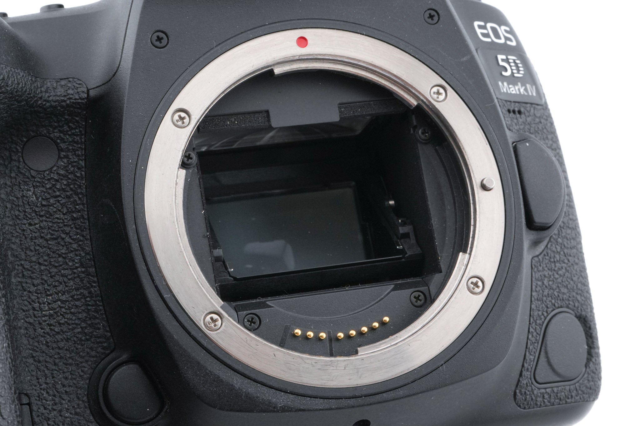 Canon EOS 5D Mark IV