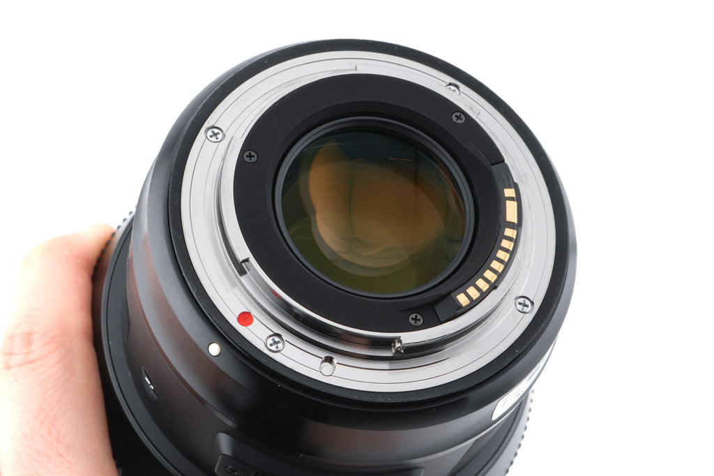 Sigma 85mm f1.4 DG HSM Art (016)