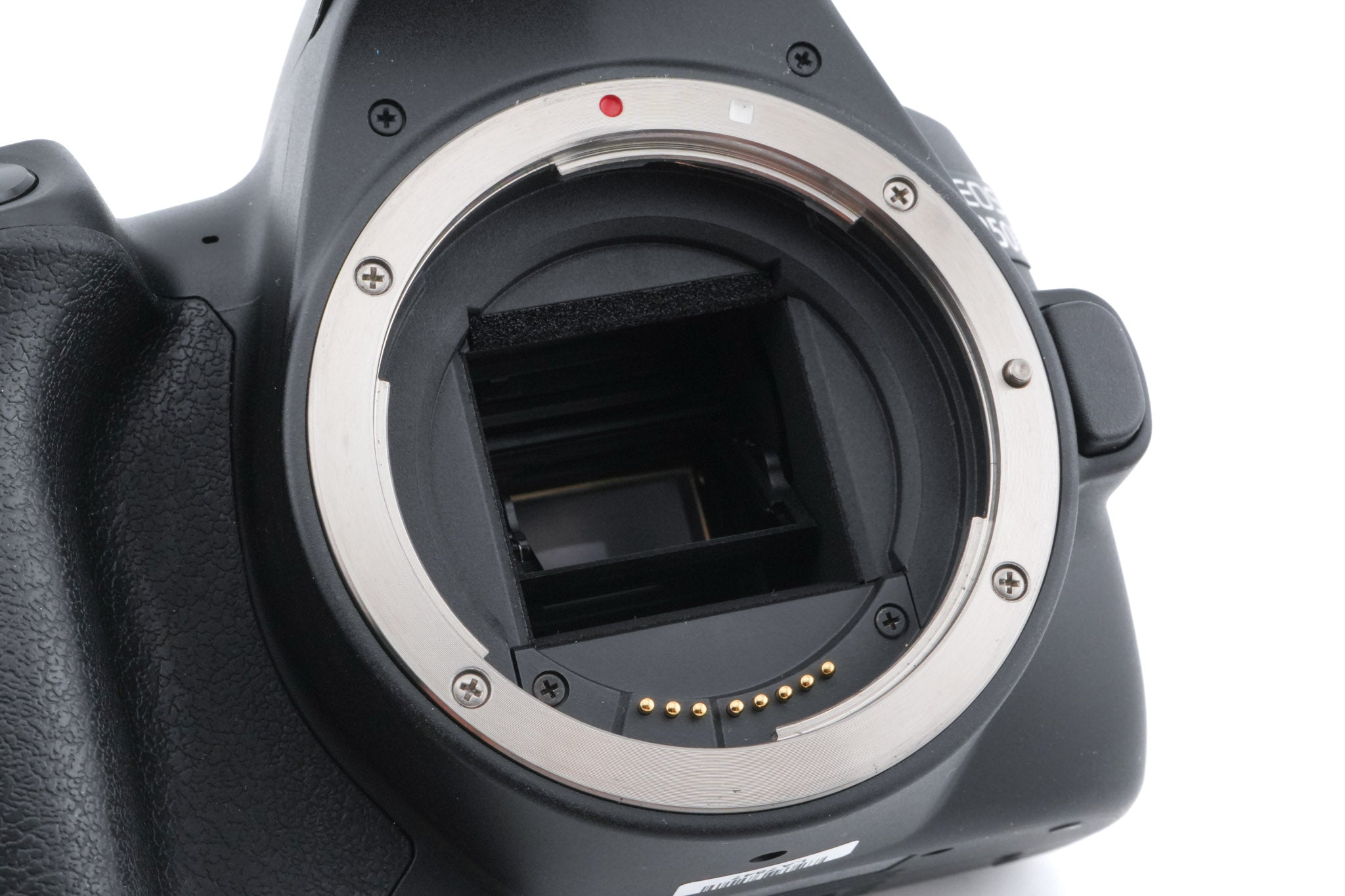 Canon EOS 250D