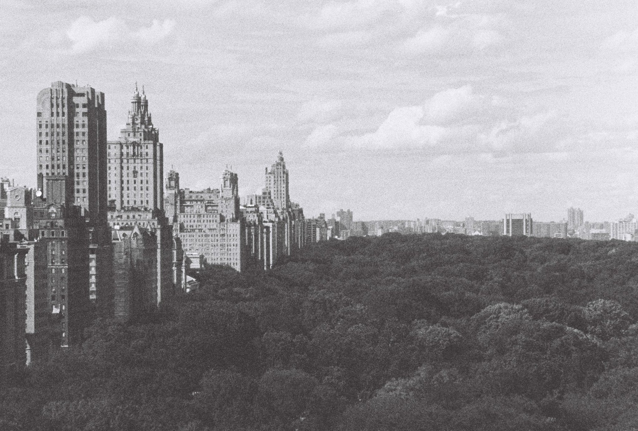 A black and white landscape photo with buildings and dense forest. 
